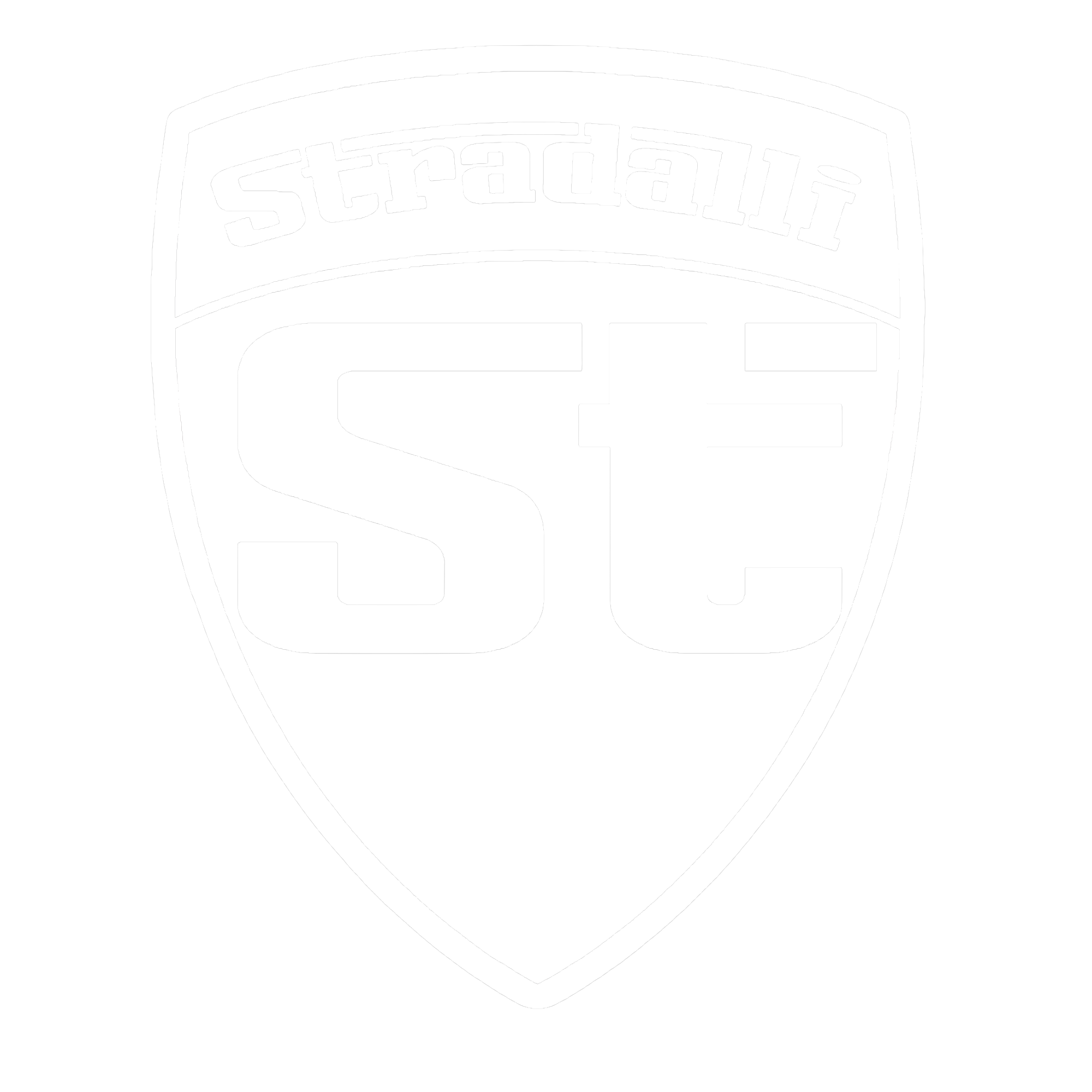 Stradalli Carbon Sports logo