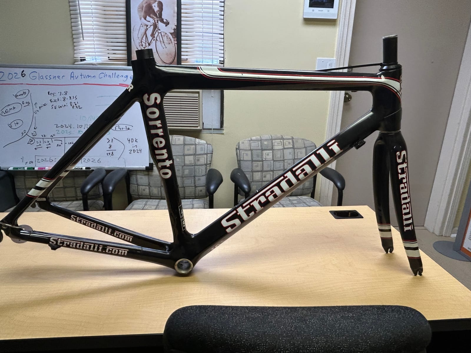 Close-up of the frame's dropout area showing a stamped serial number plate.
